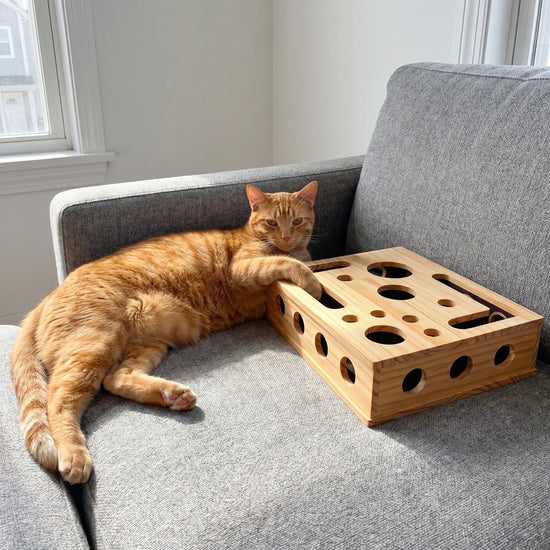 SmoothPaw customer