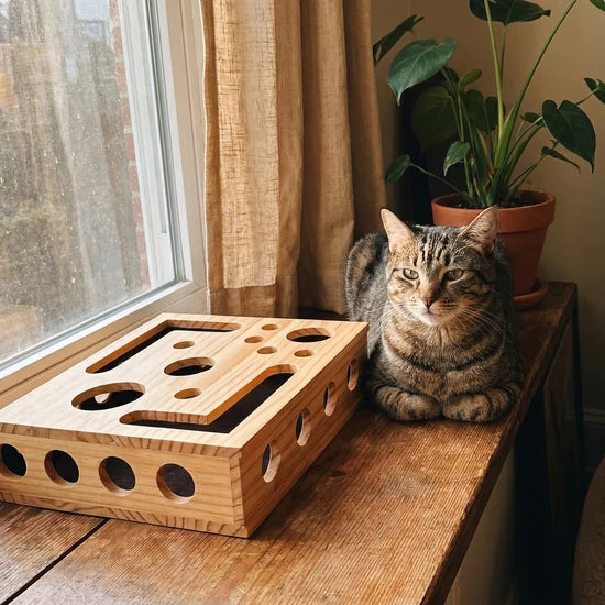 SmoothPaw customer